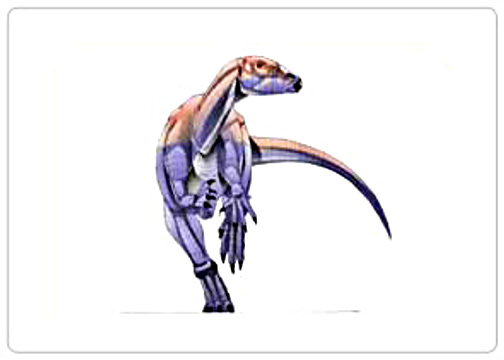 Atlascopcosaurus