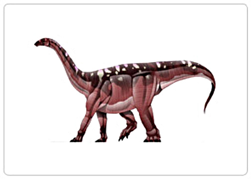 Blikanasaurus