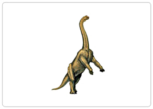 Brachypodosaurus