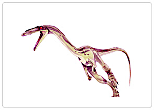 Podokesaurus
