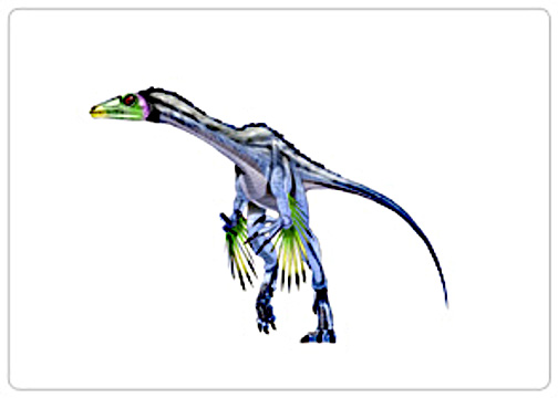 Protarchaeopteryx