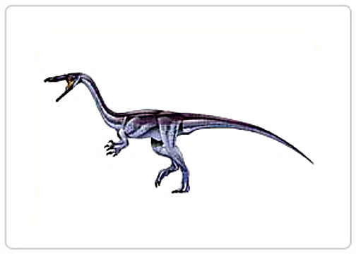Rioarribasaurus