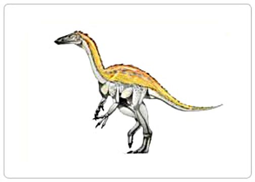 Shuvosaurus