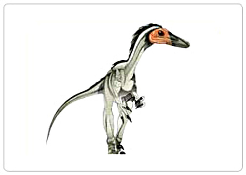 Tochisaurus