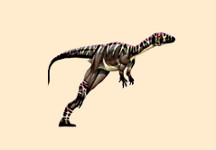 Agilisaurus
