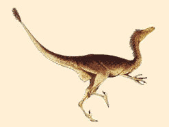 Pneumatoraptor