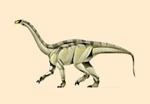 Plateosauravus