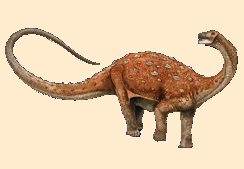 Haplocanthosaurus