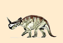 Agujaceratops