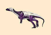 Parksosaurus