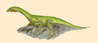 Protorosaurus