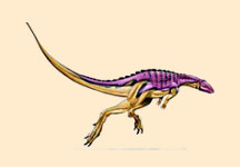 Scutellosaurus