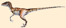 Xiaosaurus